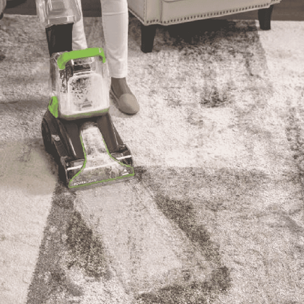 Power Clean Carpet Cleaner 2889F