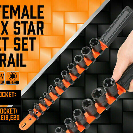 11Pc E-Torx Socket Set Female External Star Type E4-E20 3/8" 1/4" Dr. With Rail