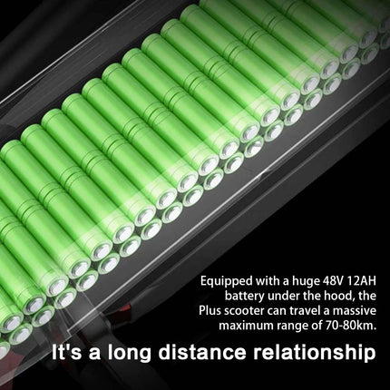 AKEZ LX-S12 48V 800W Dual-Motor Electric Scooter-Black