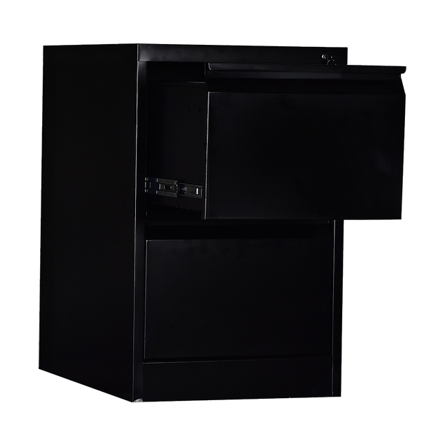 2-Drawer Shelf Office Gym Filing Storage Locker Cabinet