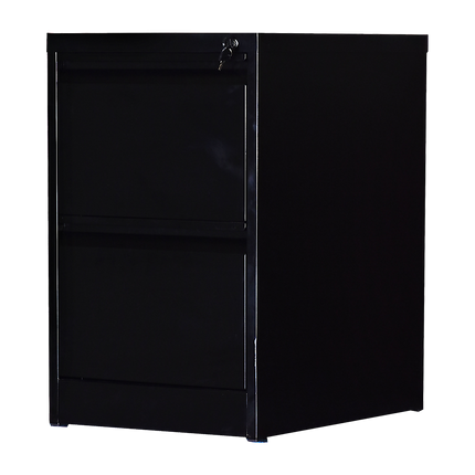 2-Drawer Shelf Office Gym Filing Storage Locker Cabinet