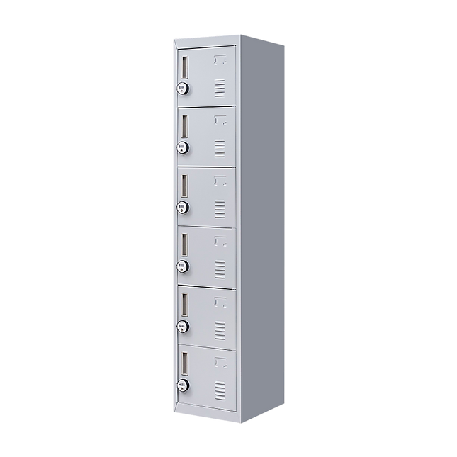 6-Door Locker for Office Gym Shed School Home Storage