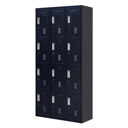 12-Door Locker for Office Gym Shed School Home Storage - Standard Lock with Keys