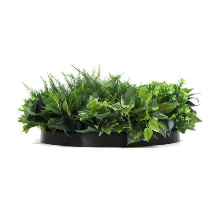 Slimline Artificial Green Wall Disc Art 60cm Mixed Green Fern & Ivy (Black)