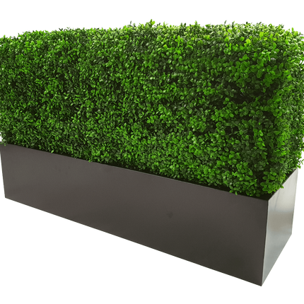 Deluxe Portable Buxus (Bright) UV Resistant 100cm Long x 50cm High x 25cm Wide