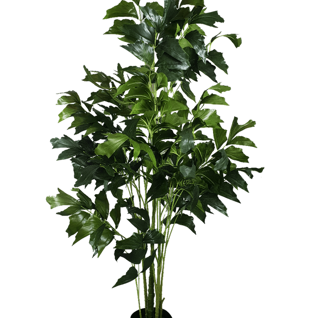 Faux Fishtail Palm Tree 160cm