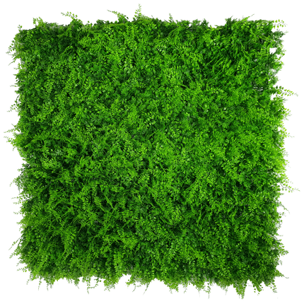 Mediterranean Fern Vertical Garden UV Stabilised 1m X 1m