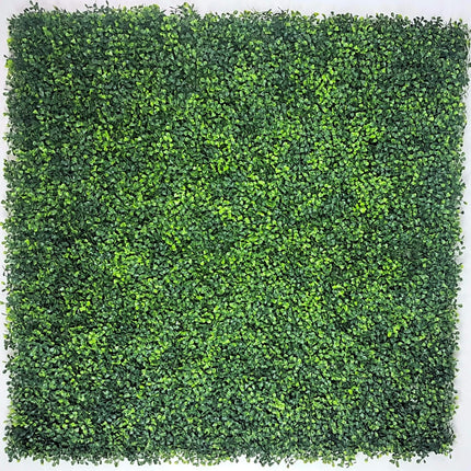 Mixed Boxwood Hedge Panels / Screens UV Resistant 1m x 1m