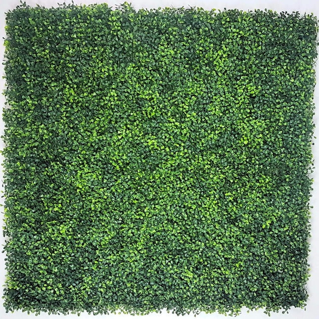 Mixed Boxwood Hedge Panels / Screens UV Resistant 1m x 1m